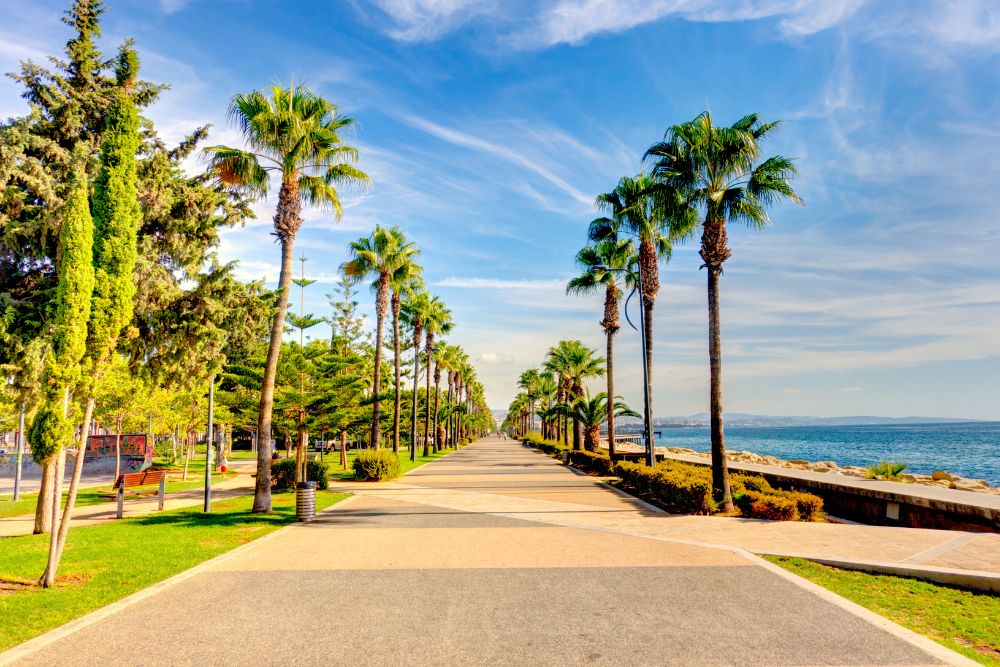 <p>Why Renting a Car Is the Best Way to Explore Cyprus </p><br>