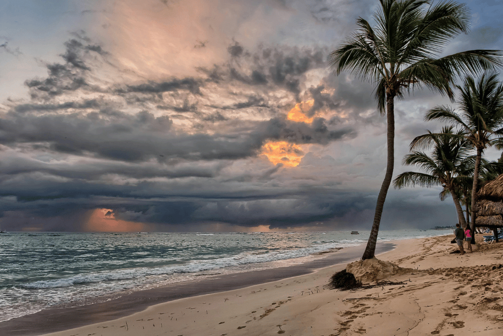 <p>Exciting News: Our New Car Hire Branch in Punta Cana!</p><br>
