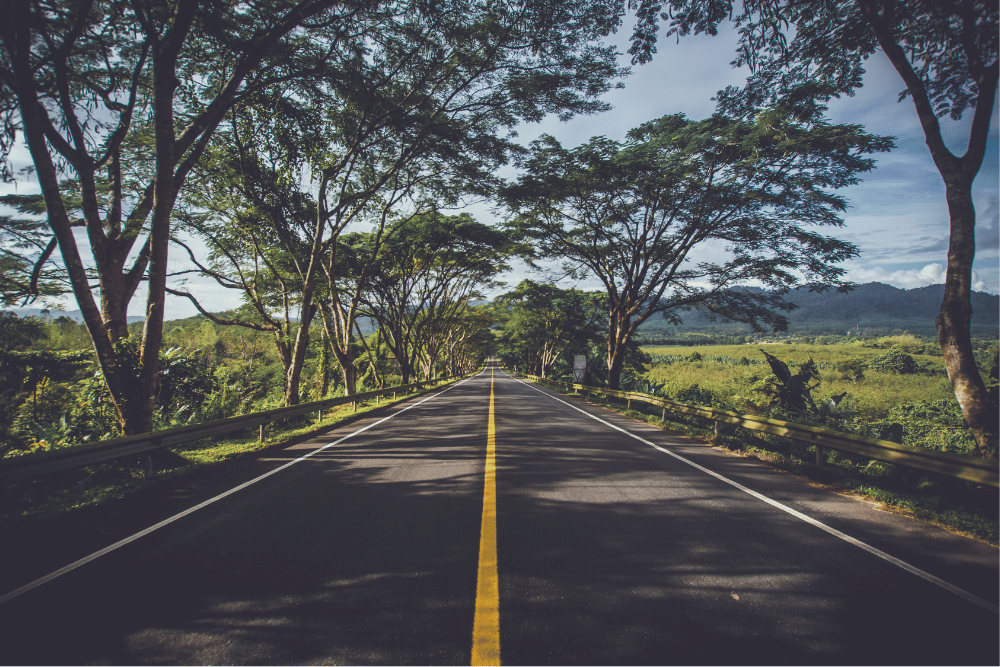 <p>5 Must Do Road Trips in the World</p><br>